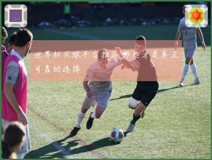世界杯买球平台推荐 哪些才是真正可靠的选择
