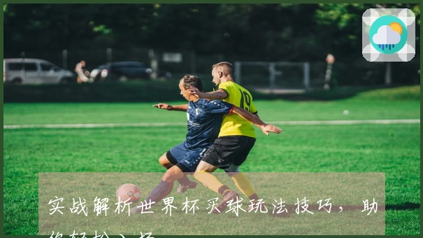 实战解析世界杯买球玩法技巧，助你轻松入场