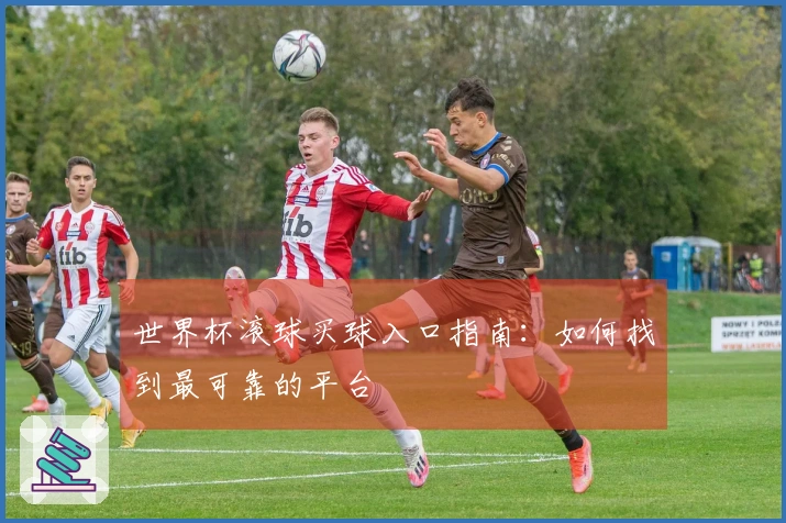 世界杯滚球买球入口指南：如何找到最可靠的平台
