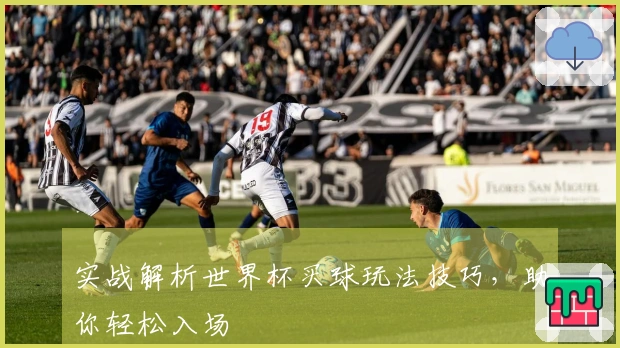 实战解析世界杯买球玩法技巧，助你轻松入场