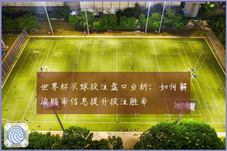 世界杯买球投注盘口分析：如何解读赔率信息提升投注胜率