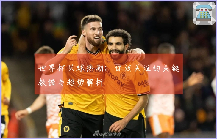 世界杯买球热潮：你该关注的关键数据与趋势解析