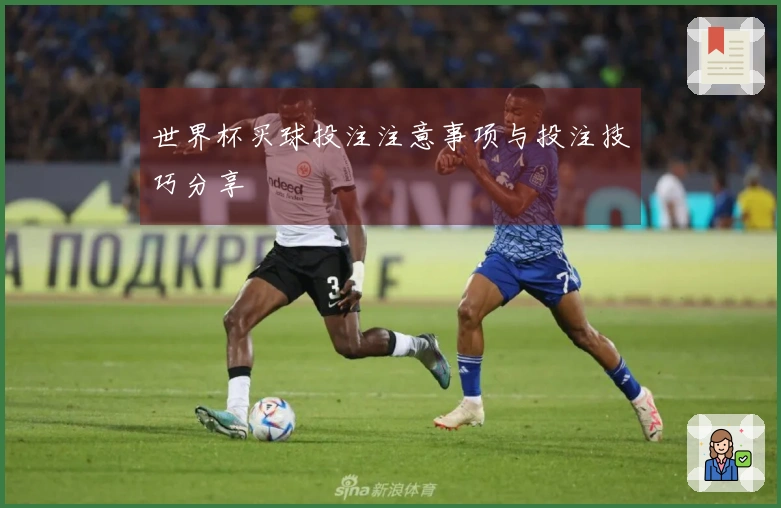 世界杯买球投注注意事项与投注技巧分享