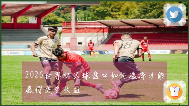2026世界杯买球盘口如何选择才能赢得更多收益