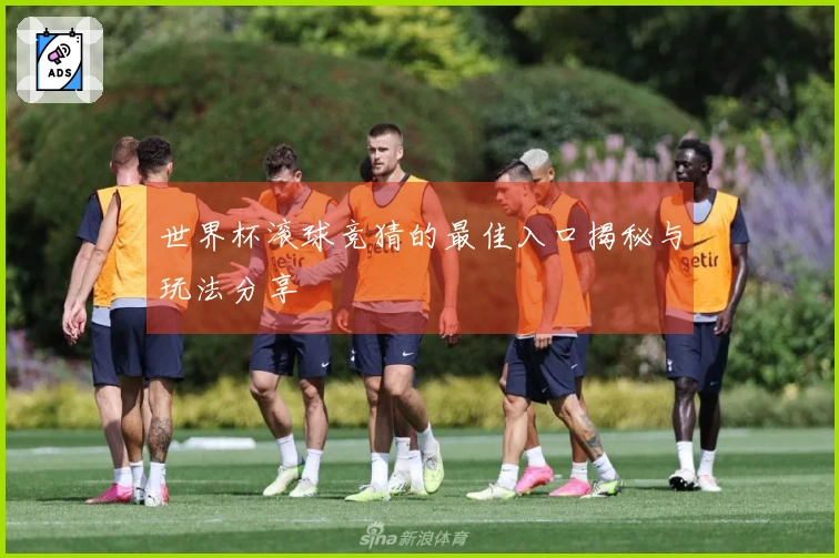 世界杯滚球竞猜的最佳入口揭秘与玩法分享
