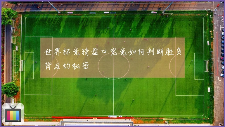 世界杯竞猜盘口究竟如何判断胜负背后的秘密