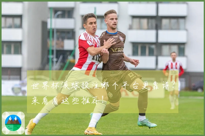 世界杯滚球投注哪个平台更靠谱？来看看这些推荐！