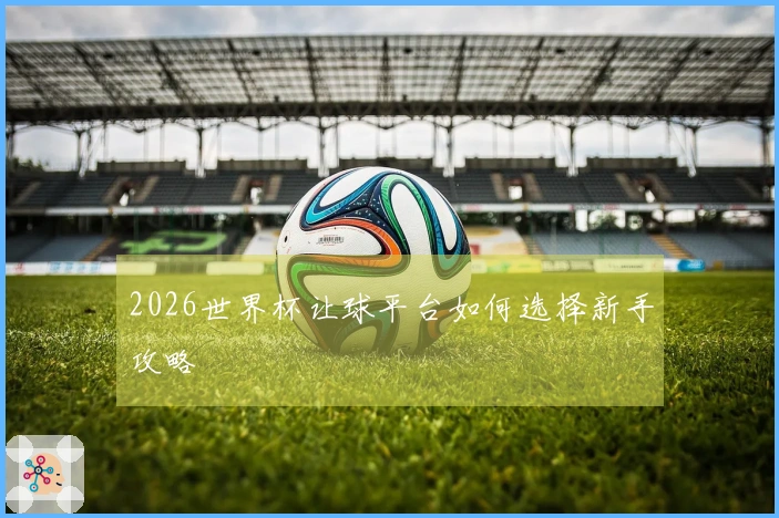 2026世界杯让球平台如何选择新手攻略