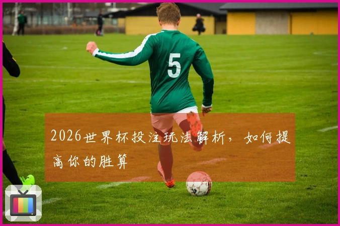 2026世界杯投注玩法解析，如何提高你的胜算