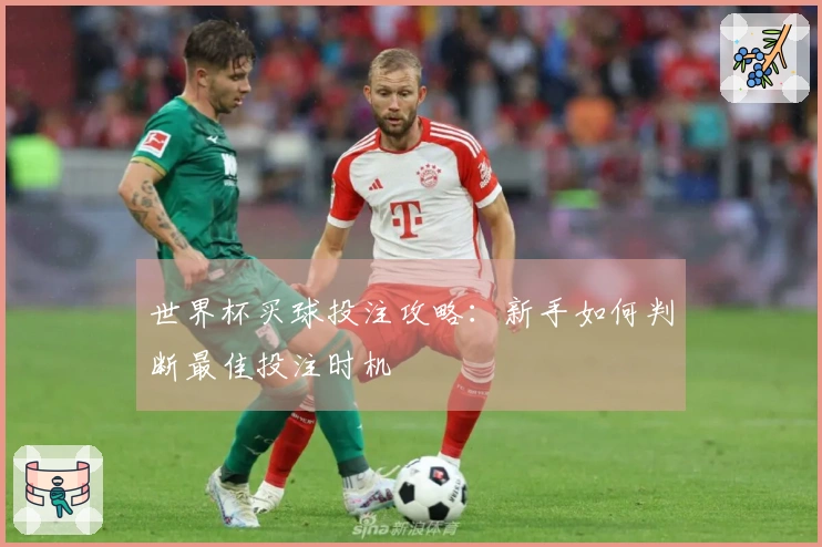 世界杯买球投注攻略：新手如何判断最佳投注时机