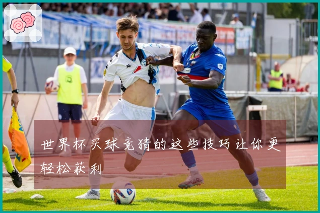 世界杯买球竞猜的这些技巧让你更轻松获利