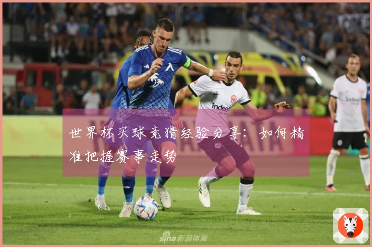 世界杯买球竞猜经验分享：如何精准把握赛事走势