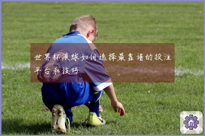 世界杯滚球如何选择最靠谱的投注平台和技巧