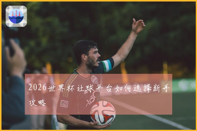 2026世界杯让球平台如何选择新手攻略