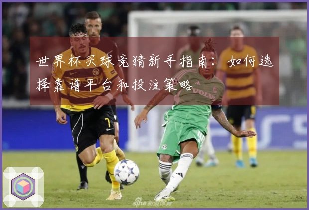 世界杯买球竞猜新手指南：如何选择靠谱平台和投注策略
