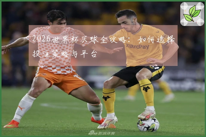 2026世界杯买球全攻略:如何选择投注策略与平台