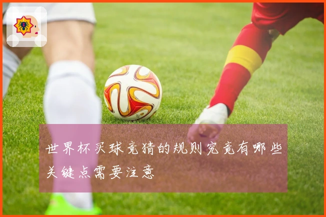 世界杯买球竞猜的规则究竟有哪些关键点需要注意