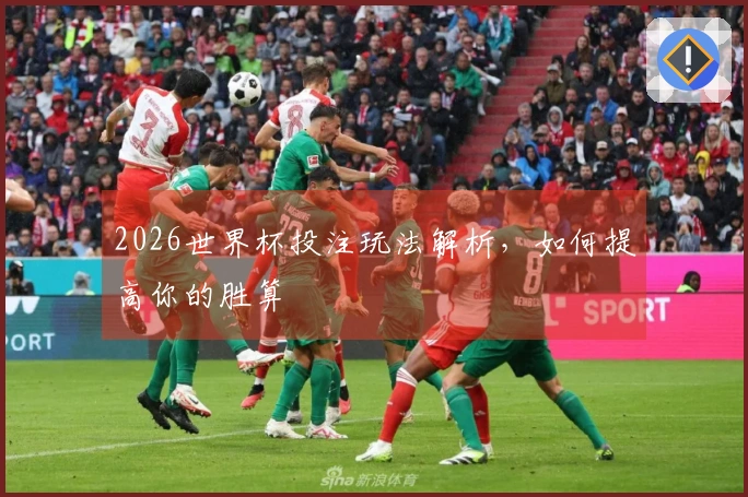 2026世界杯投注玩法解析，如何提高你的胜算