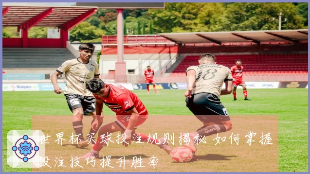 世界杯买球投注规则揭秘 如何掌握投注技巧提升胜率