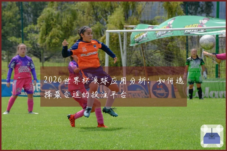 2026世界杯滚球应用分析：如何选择最合适的投注平台