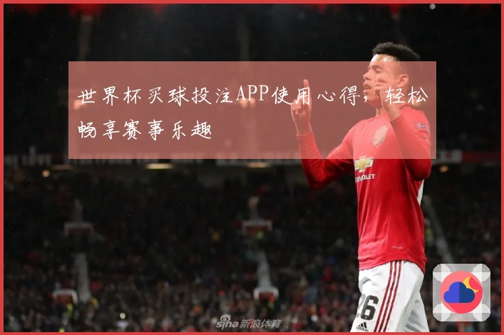 世界杯买球投注APP使用心得，轻松畅享赛事乐趣