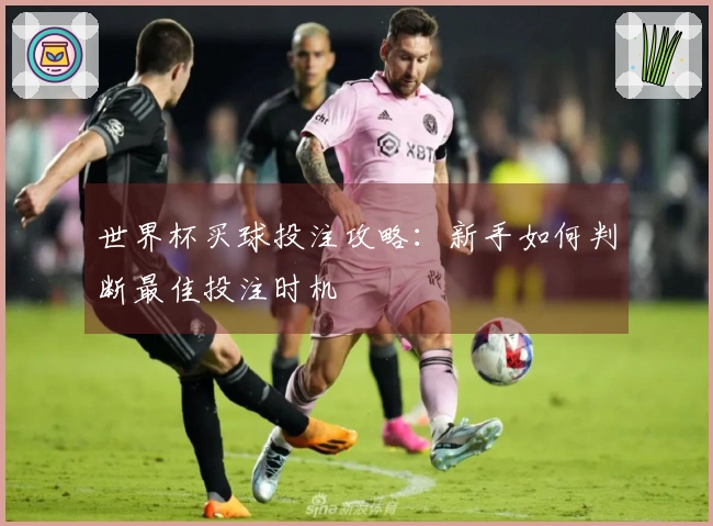 世界杯买球投注攻略：新手如何判断最佳投注时机