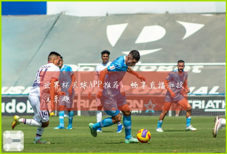 世界杯买球APP推荐，畅享直播和投注乐趣