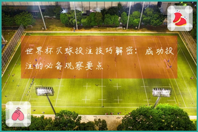 世界杯买球投注技巧解密：成功投注的必备观察要点