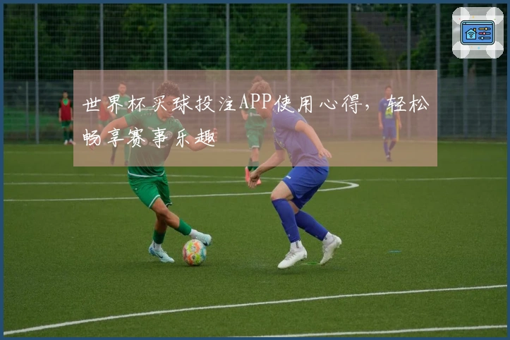 世界杯买球投注APP使用心得，轻松畅享赛事乐趣